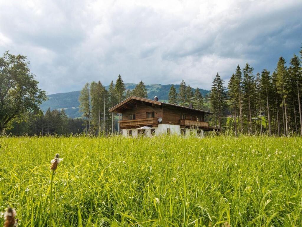 Chalet Freiblick Kleinhaid, Hollersbach Hollersbach im Pinzgau Zewnętrze zdjęcie